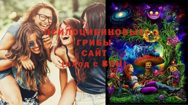 метамфетамин Богданович