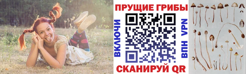 Псилоцибиновые грибы MAGIC MUSHROOMS  наркошоп  мега сайт  Ясногорск 